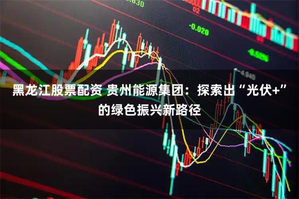 黑龙江股票配资 贵州能源集团:探索出“光伏+”的绿色振兴新路径